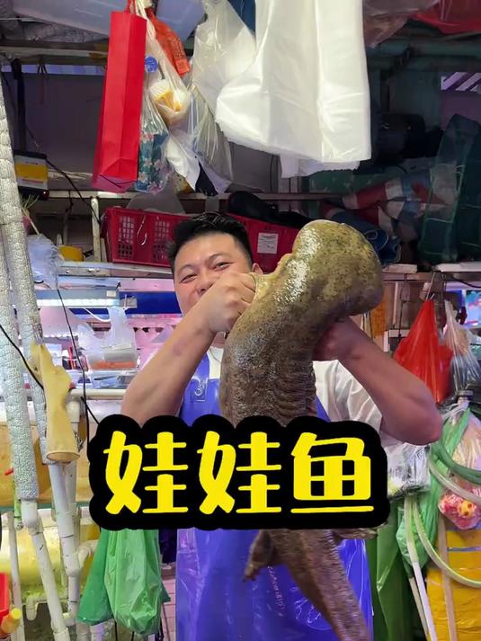 处理一条人工养殖的娃娃鱼