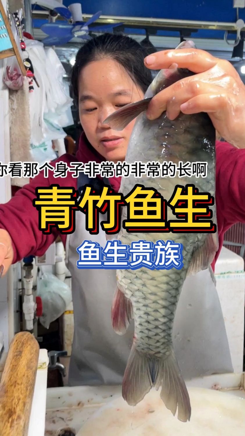 今天来做一份鱼生界的贵族-青竹鱼,干净的水质做出来的鱼生品质很好