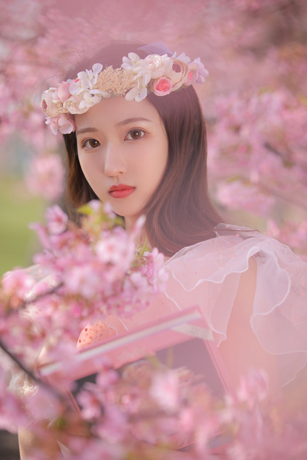 图片[14]-樱花-六色网