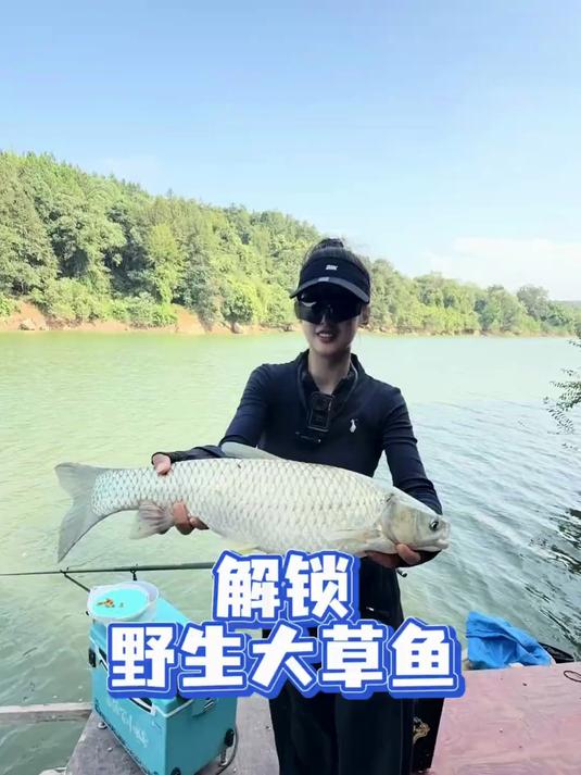 在下“鱼喂饱”敢问阁下是?