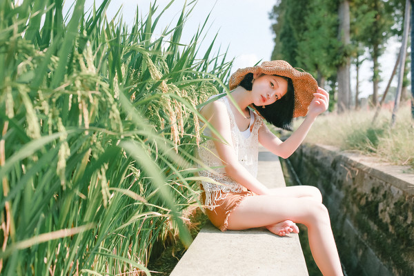 图片[7]-稻田里的夏天-六色网