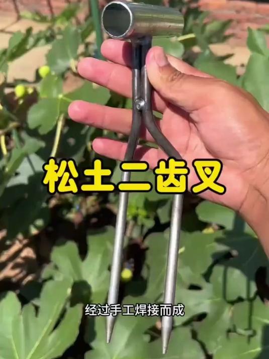 养花种菜备上它！松土、除草、起苗，一铲多用！阳台盆栽庭院菜地通用，适用场景十分广泛