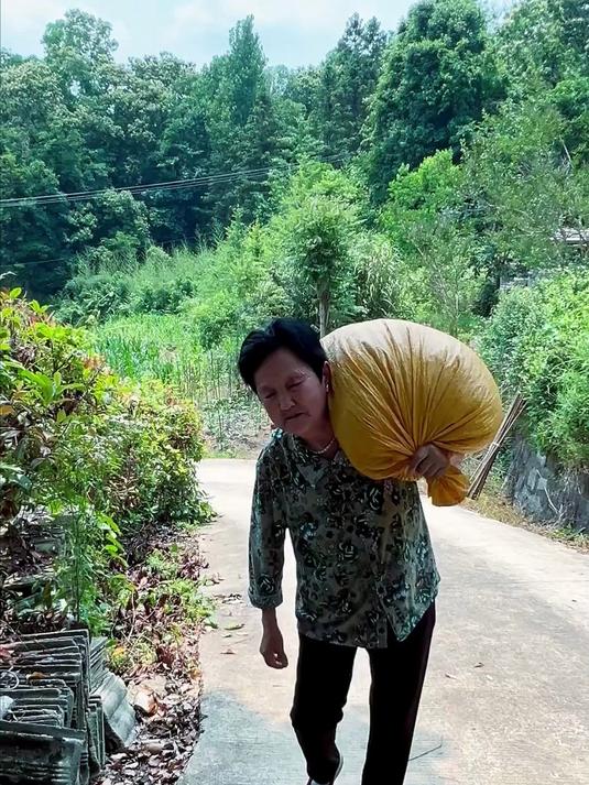 天不亮进山收河虾，只为让家人吃上地道野生小河虾