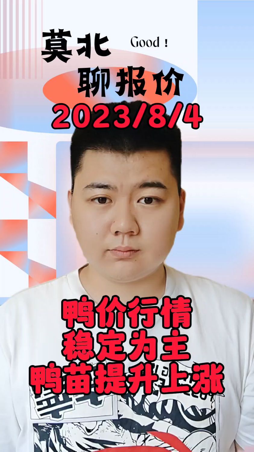 8月4号最新鸭价,白鸭苗继续报涨,全国各厂鸭苗上涨1-2毛,目前鸭苗最高报价4.27