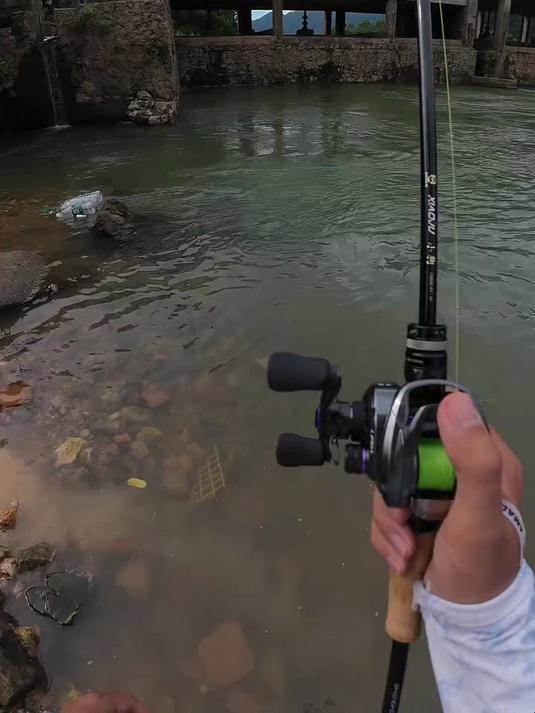 小小斑鳜拿下拿下