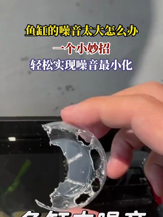 鱼缸的噪音太大怎么办,一个小妙招,轻松实现噪音最小化