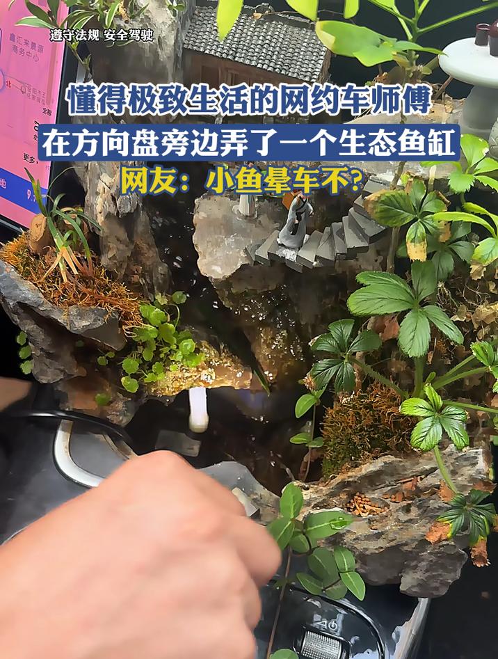 懂得极致生活的网约车师傅,在方向盘旁边弄了一个生态鱼缸