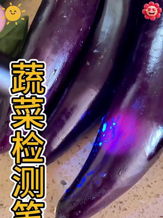 一键速测，蔬菜农药残留无处遁形，你的便捷健康小卫士在此！