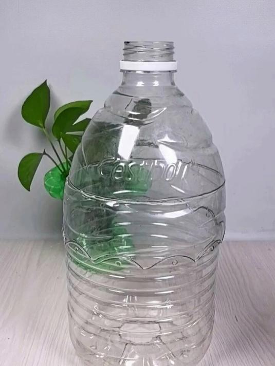 塑料瓶变废为宝制作花盆种菜种花