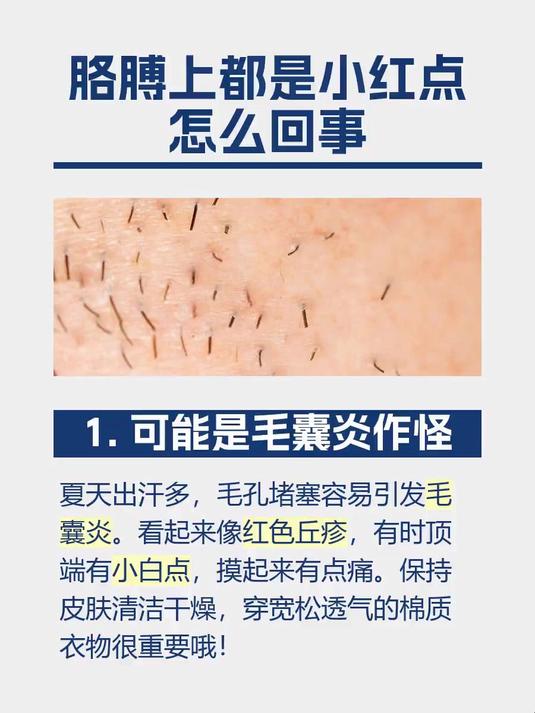 胳膊上都是小红点怎么回事