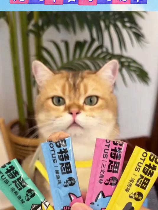 猫生鱼油猫条,一口一口吃出健康好喵生!