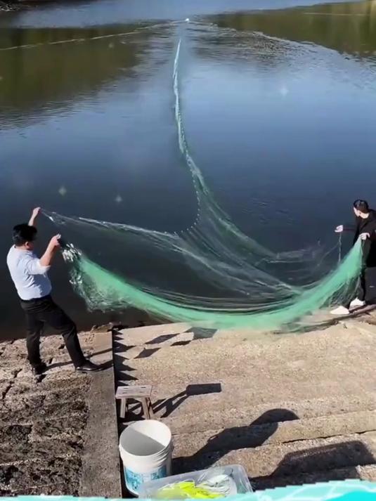 加重绳包坠绿丝三层沉网粘网丝网捕鱼网挂网鲫鱼网鲤鱼草鱼网渔网