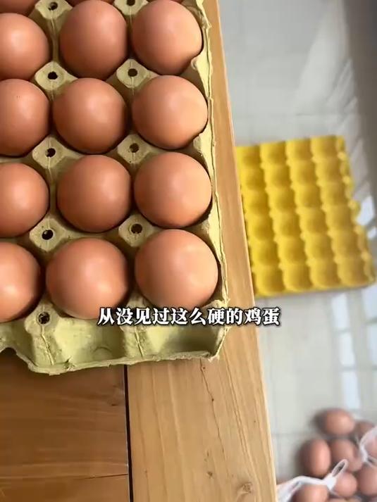砸不烂的“鸡蛋”