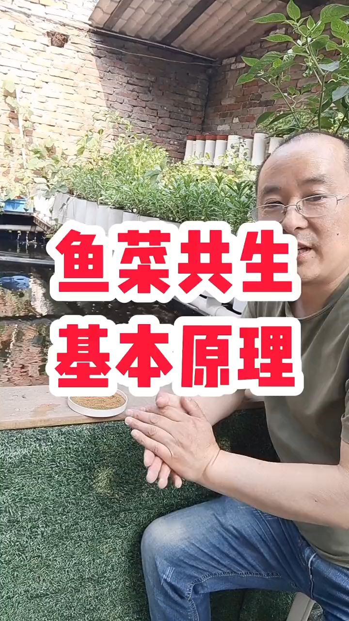 鱼菜共生基本原理