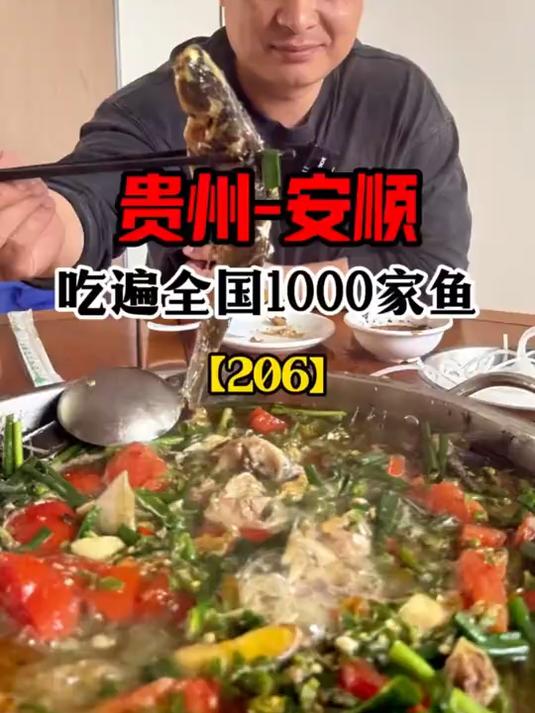 第206家贵州安顺,断桥青椒鱼做法简单,青椒和番茄加的多,锅底味道很纯粹