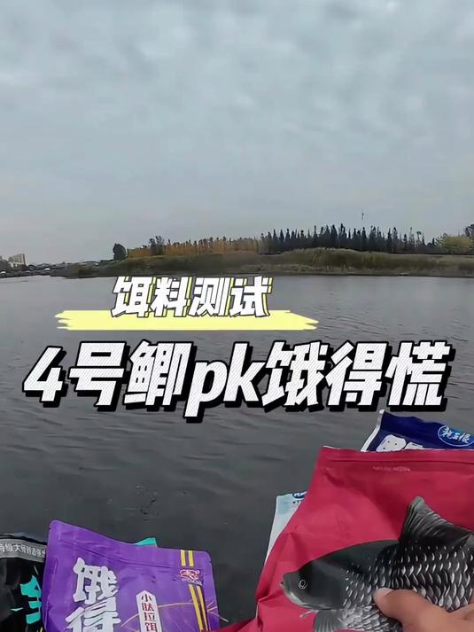 秋冬野钓饵料单开谁才是真正的鲫鱼之王?