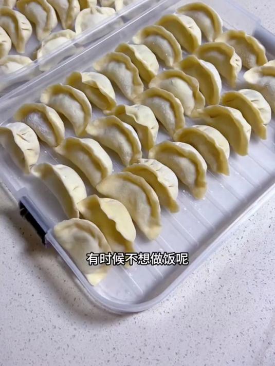 冻饺子混沌收纳选它!多层饺子盒 冰箱专用 家用保鲜托盘防粘
