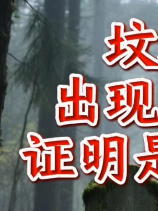 坟地有这迹象,必是福地!老地师:聚福纳祥的标志!