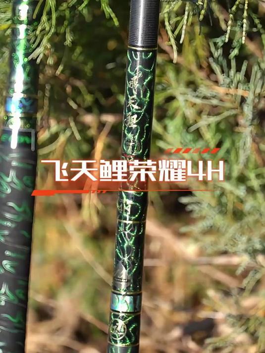飞天鲤荣耀4H