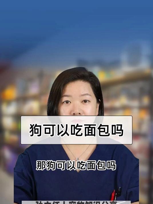 狗可以吃面包吗