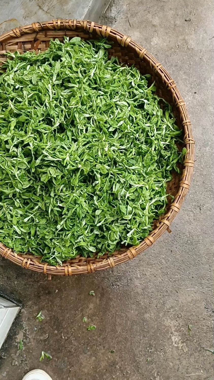 水印草糍粑制作过程