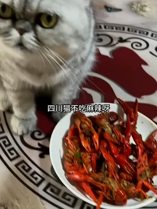 去给妈耶钓龙虾