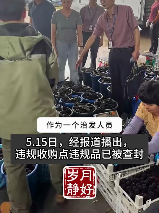 五谷海鲜也能净化！苏泊尔净化机，每顿都吃安心粮