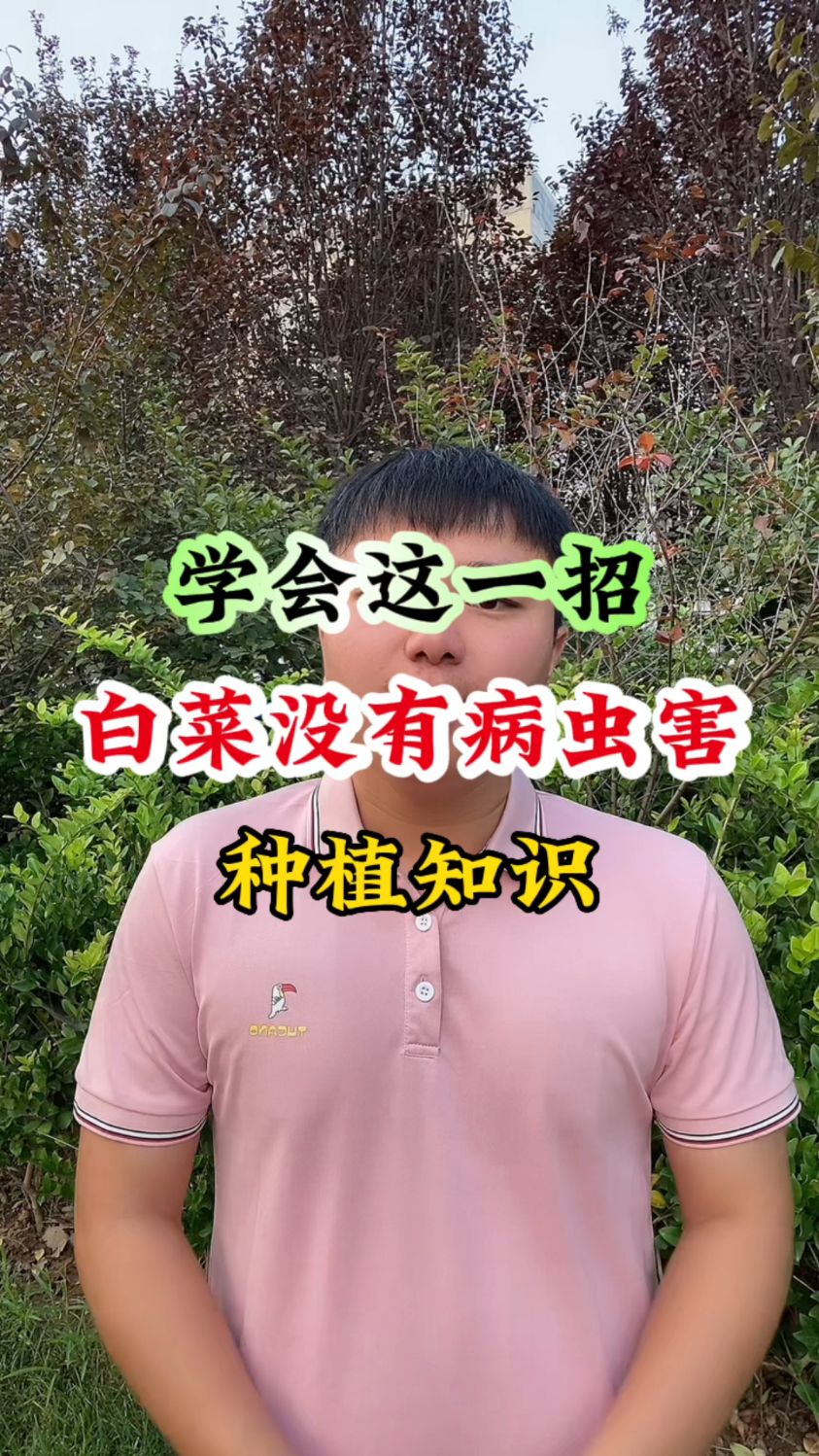 学会这一招,白菜没有病虫害,种植知识
