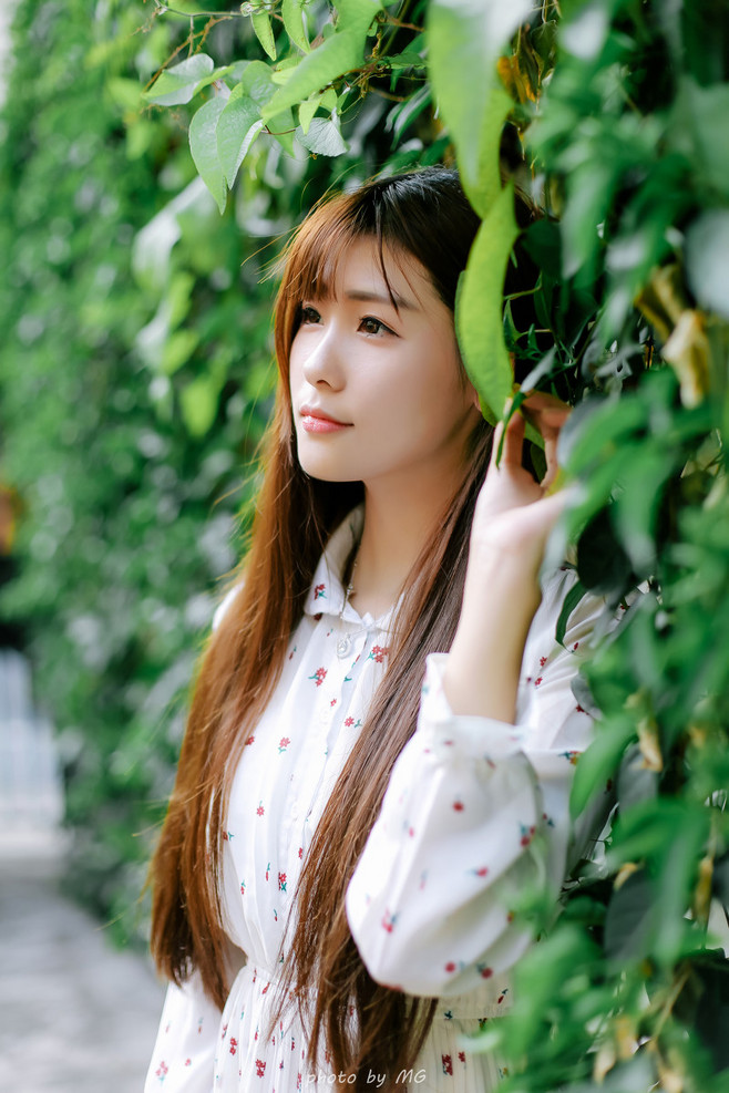 图片[29]-阡陌-六色网