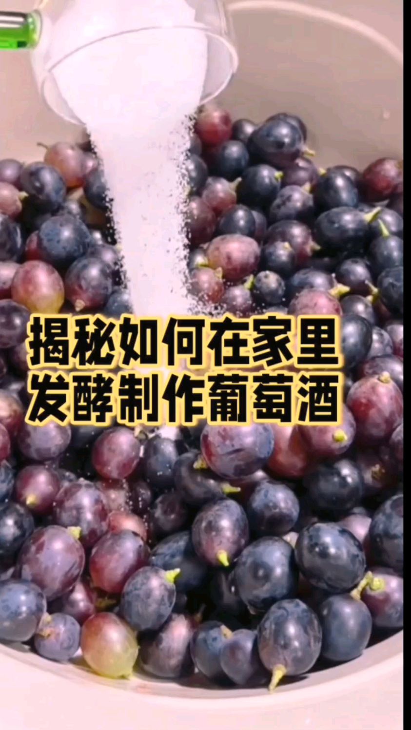 在家自酿葡萄酒,尝鲜品质生活