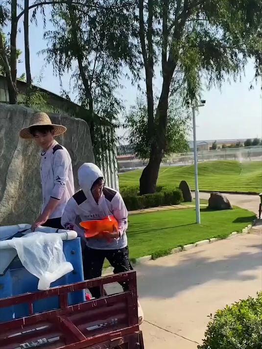 放生结婚时的红鲤鱼