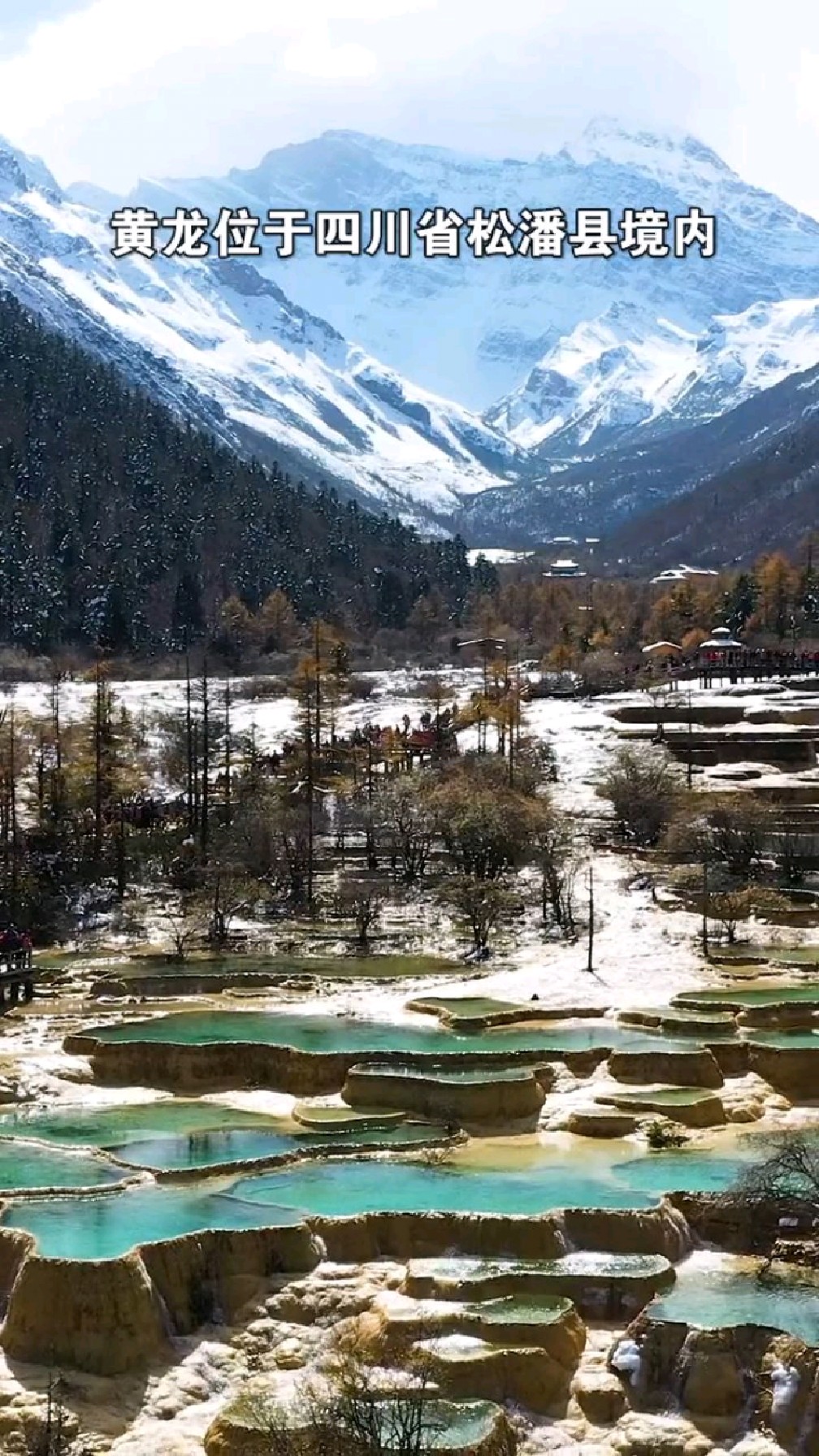 四川阿坝黄龙,彩池鲜艳夺目,原始森林正在泛黄,被称为人间瑶池。