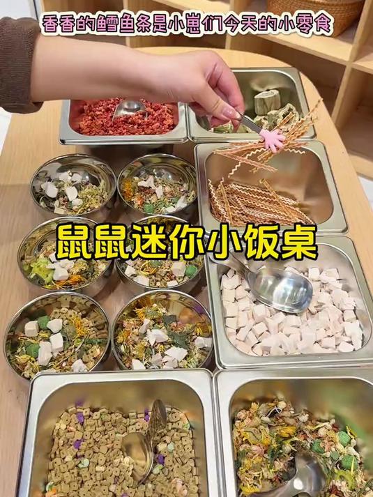 鼠鼠迷你小饭桌!开饭!