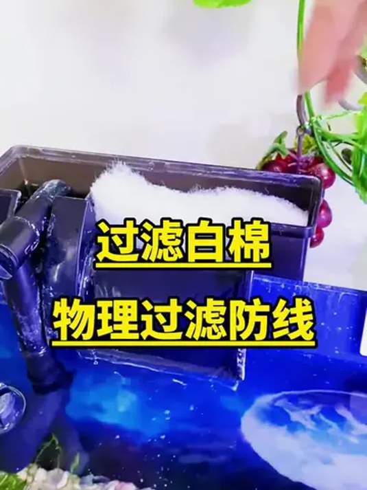 鱼缸过滤咋选?高密度白海绵,净水超给力
