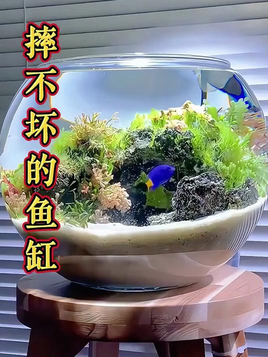 不会碎的鱼缸来了,圆形鱼缸一体成型,防摔耐摔,客厅桌面生态缸