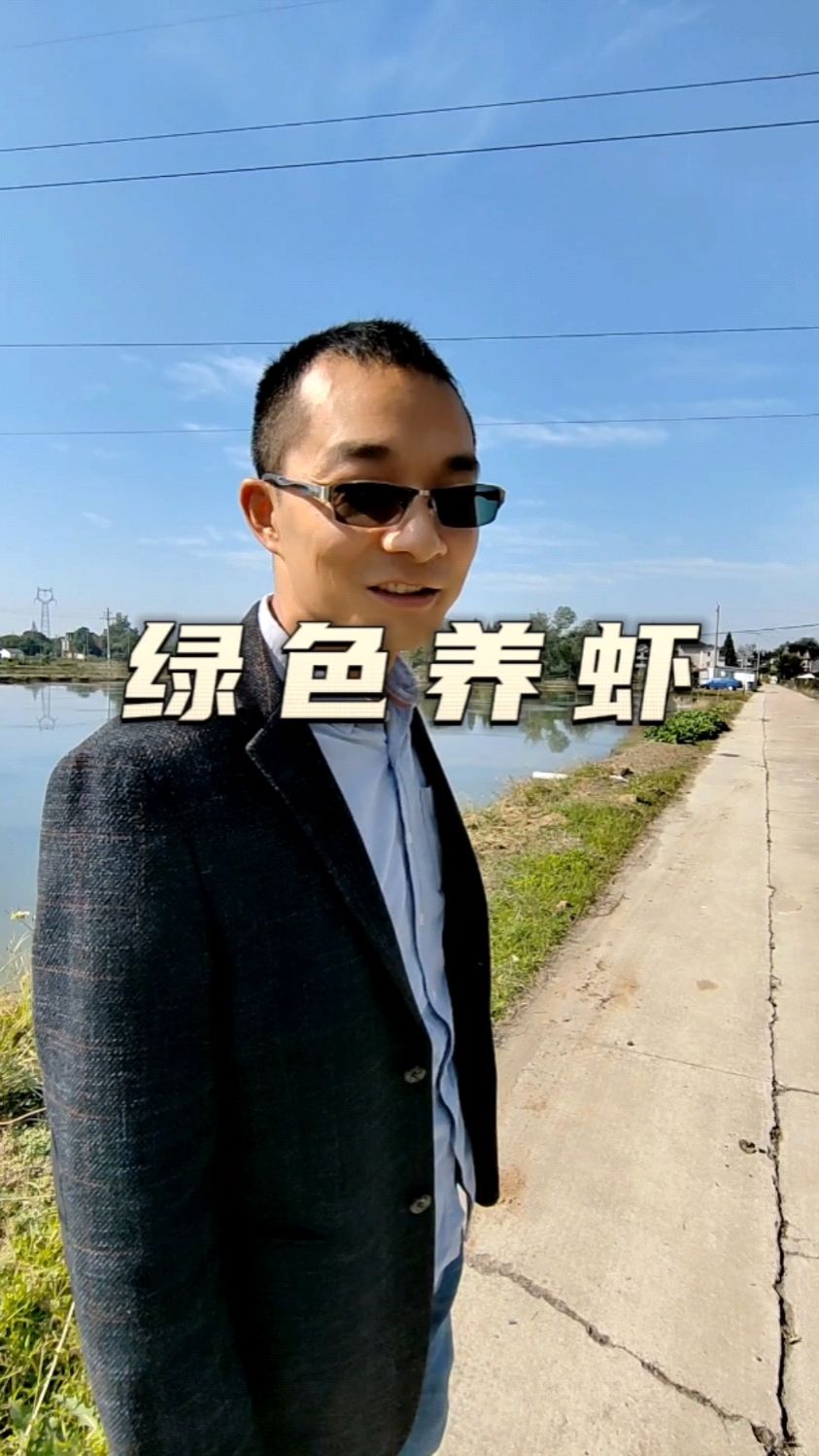 鱼菜高带你体验鲜美的河虾是如何养殖的?养殖资金投入不高,但是个技术活
