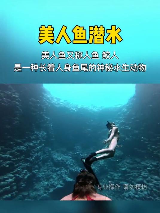 美人鱼潜水。美人鱼又称人鱼鲛人
