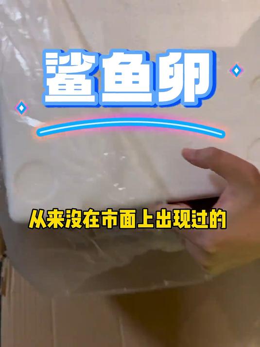 孤品鲨鱼卵到啦～～～～