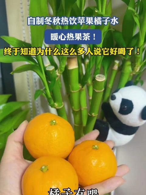自制冬秋热饮苹果橘子水,终于知道为什么这么多人说它好喝了!