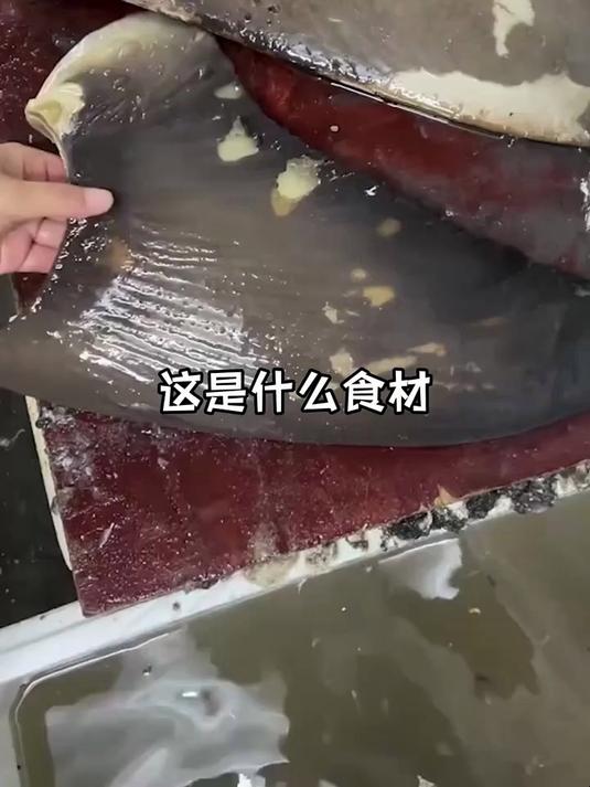 这是什么食材？
