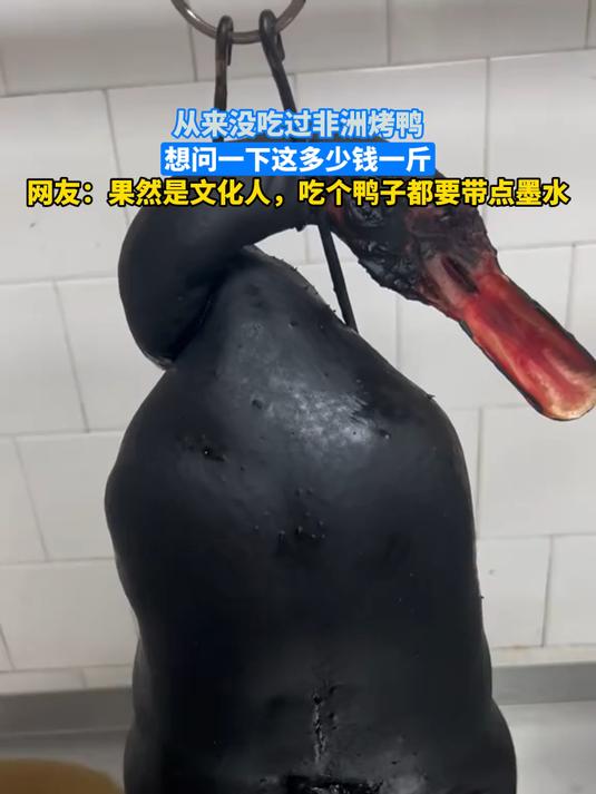 从来没吃过非洲烤鸭,想问一下这多少钱一斤,网友:果然是文化人,吃个鸭子都要带点墨水