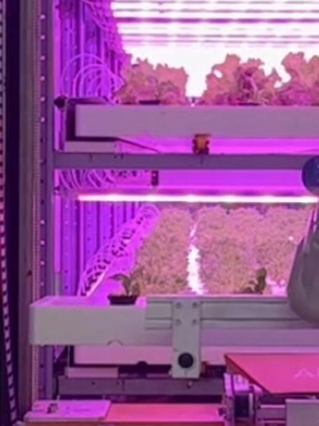 江苏昆山陆家镇：从会种菜到“慧”种菜，陆家镇的菜园子有学问 三农万象