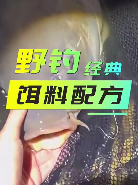 野钓经典饵料配方，学会了钓鱼变得更简单