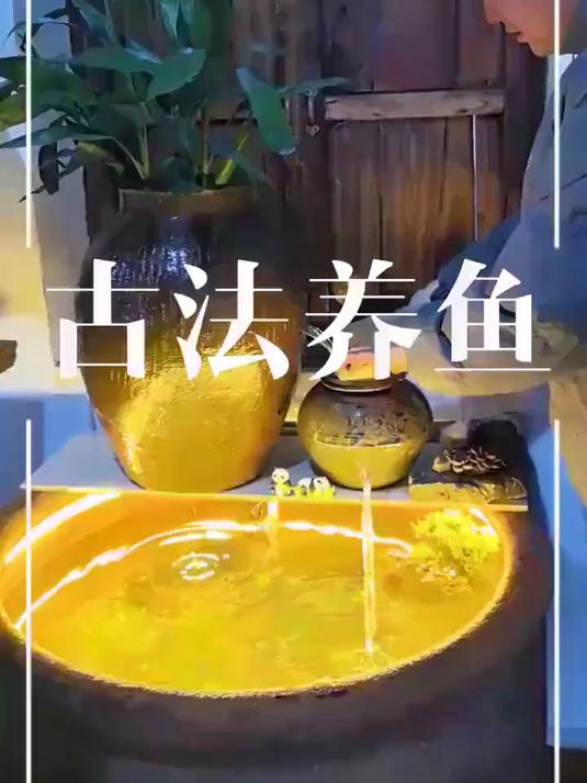 古法养鱼，花最少的钱办事，做出来的流水鱼缸感觉还可以#古法养鱼#
