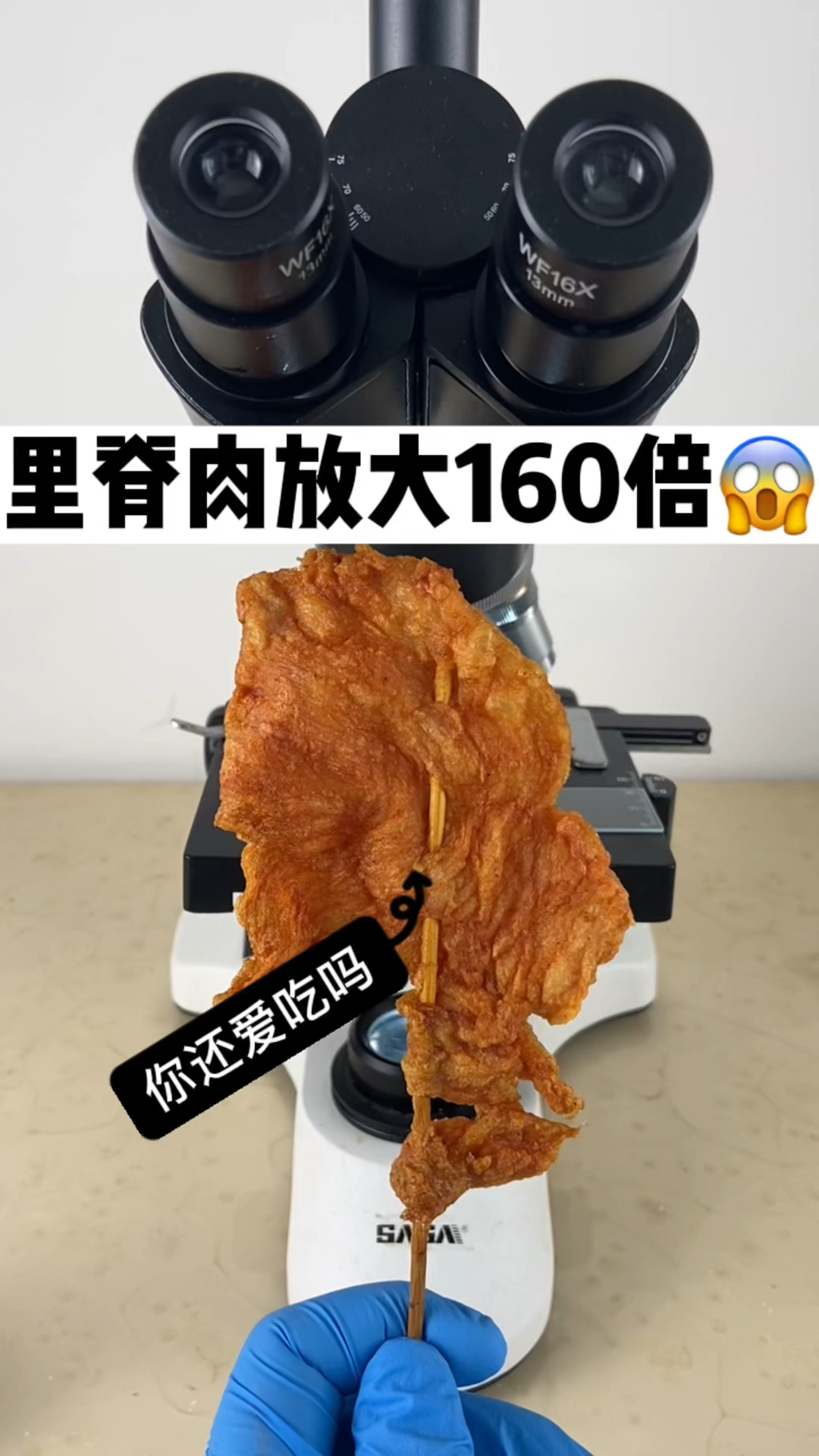 里脊肉放大160倍看看是什么样子的