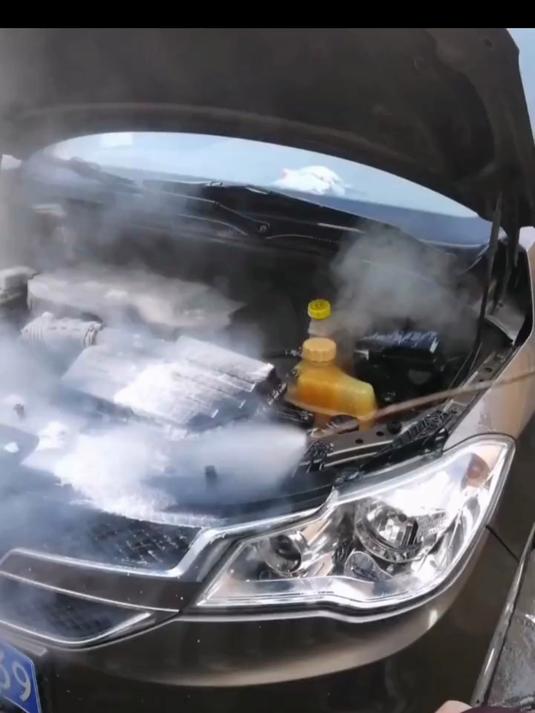 汽车发动机清洗用蒸汽洗车机