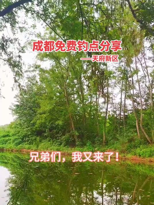 野钓鲫鱼，成都免费钓点分享