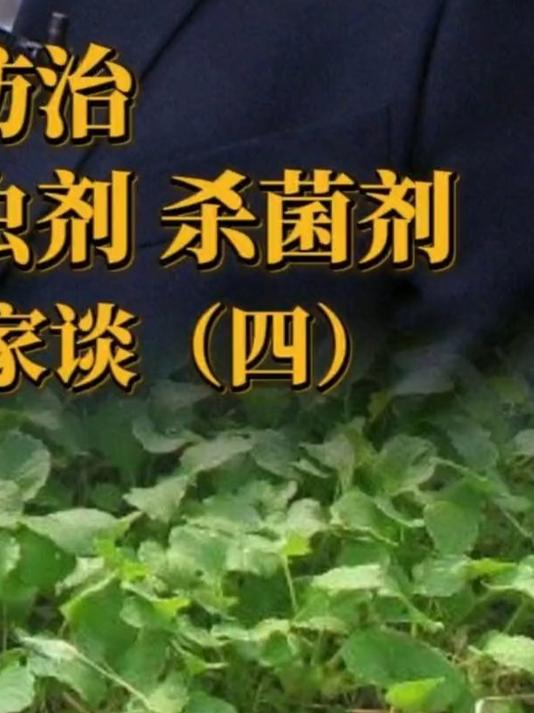 油菜病虫害防治：如何选择杀虫剂、杀菌剂？丨油菜促壮苗专家谈（四）