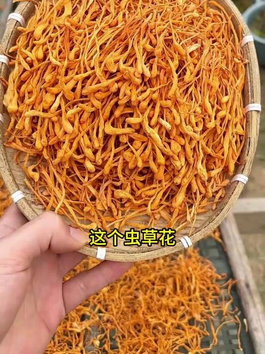 美味不复杂!虫草花煲鸡汤超轻松