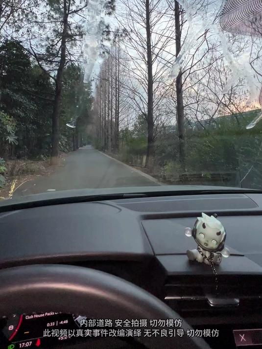 1月11日舒甜挡风玻璃砸鸡蛋日常1353